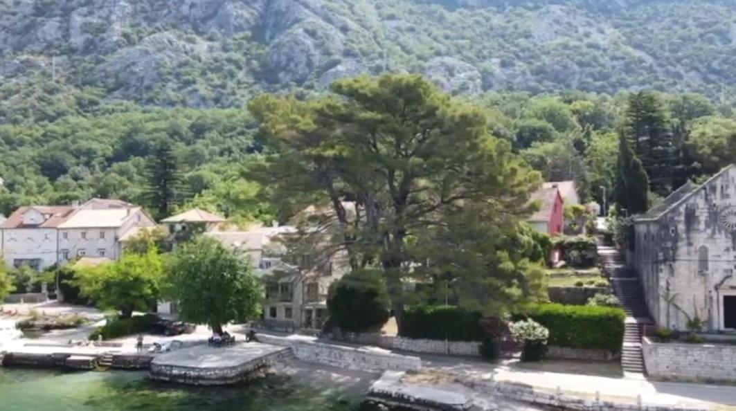 Apartment On The Shore Of The Bay Of Kotor With Free Wi-Fi Exteriér fotografie